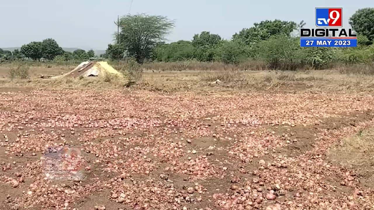 आधी कांद्यानं रडवलं आता कंबरडं मोडल; अवकाळीमुळे कांदा सडला? शेतकऱ्याची आर्थिक कोंडी