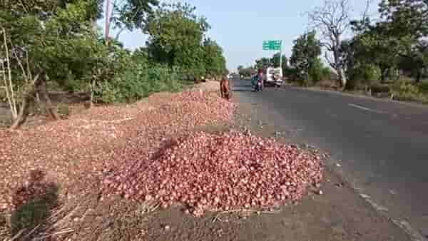 अवकाळी पावसामुळे कांदा उत्पादक शेतकरी मेटाकुटीला, शेतकरी दुहेरी संकटात