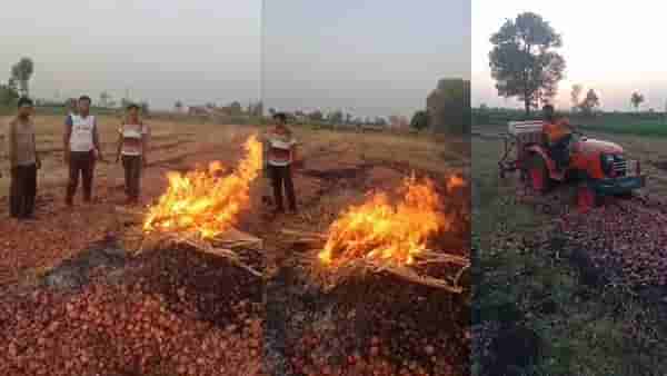 खर्च केलेले पैसे सुध्दा निघत नसल्यामुळे शेतकऱ्याने कांदा पेटवला