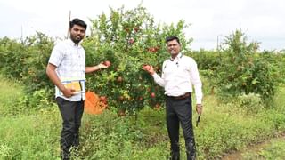 नाशिक जिल्ह्यात ऐतिहासिक किल्ल्याची प्रतिकृती असलेलं घर, पाहण्यासाठी लोकांची गर्दी