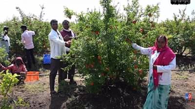 मालेगावच्या शेतकऱ्याची पंतप्रधान मोदी यांच्याकडून दखल, का केलं कौतुक?