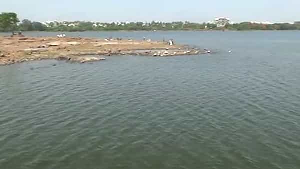 कोल्हापूरात पंचगंगा नदी (Panchganga river) नंतर आता रंकाळा तलावाच्या (rankala lake) प्रदूषणाचा देखील प्रश्न देखील ऐरणीवर आला आहे.