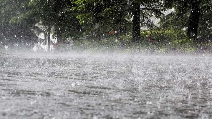 मान्सून 4 जूनला केरळमध्ये तर महाराष्ट्रात कधी होणार दाखल? हवामान विभागानं म्हटलं... मान्सून 4 जूनला केरळमध्ये तर महाराष्ट्रात कधी होणार दाखल? हवामान विभागानं म्हटलं...