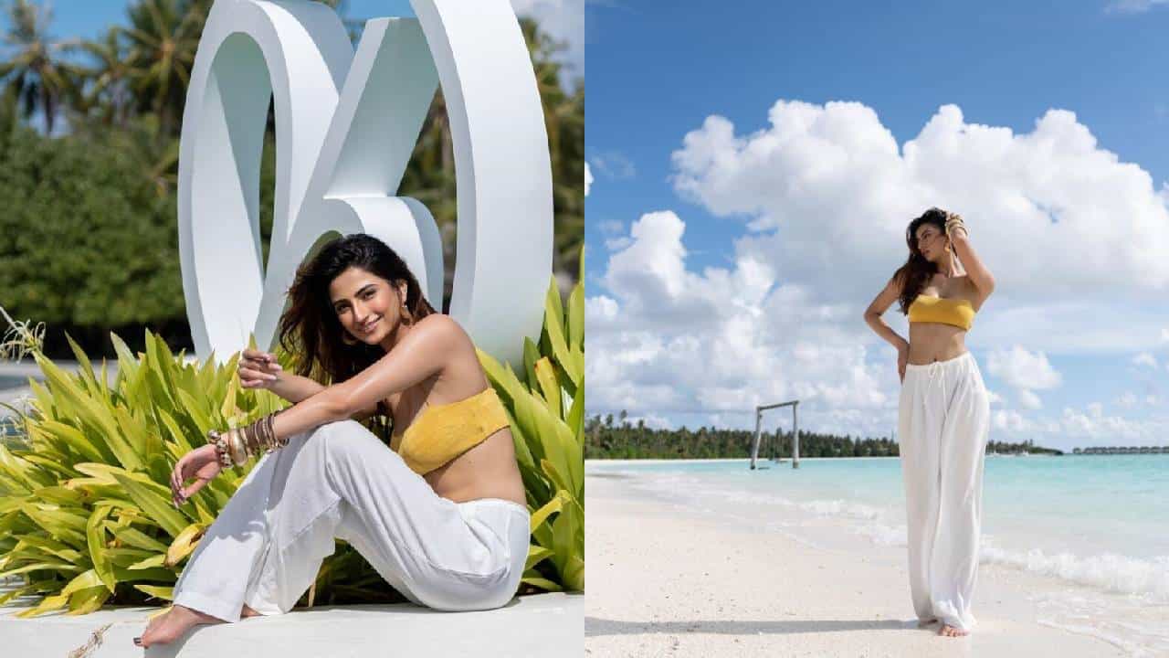 अभिनेत्री पलक तिवारी ही नेहमीच चर्चेत असते. श्वेता तिवारी हिच्या लेकीने नुकताच सलमान खान याच्या चित्रपटातून बाॅलिवूडमध्ये पदार्पण केले आहे. विशेष म्हणजे पलकच्या अभिनयाचे काैतुक केले गेले.