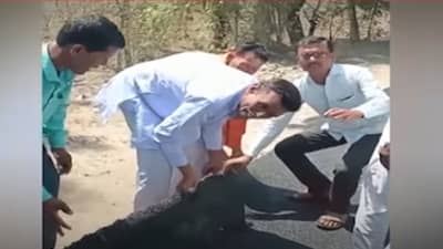 बापरे ! चादर हातात यावी, तसा डांबरी रस्ता हातात आला अन्…