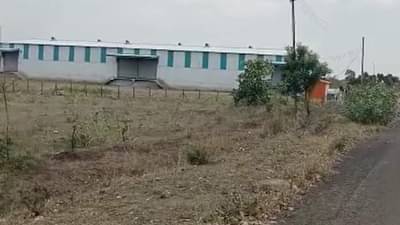 बियाणे खरेदी करताना सावधान, बोगस बियाण्यांचा सुळसुळाट, सव्वा कोटीचे बोगस बियाणे जप्त