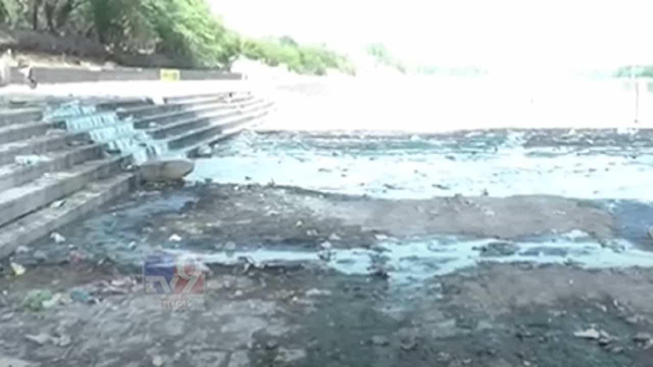 पवित्र गोदावरी बनली गटारगंगा ! नदीतील जलचर प्राण्यांचे अस्तित्व धोक्यात, काय कारण?