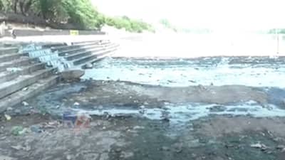 पवित्र गोदावरी बनली गटारगंगा ! नदीतील जलचर प्राण्यांचे अस्तित्व धोक्यात, काय कारण?