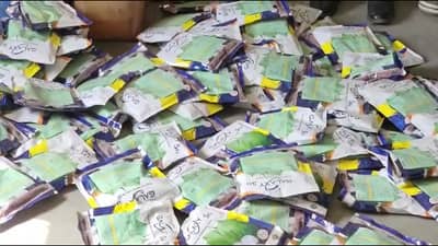 बोगस बियाणे विकणाऱ्या कृषी केंद्रावर कारवाई, या राज्यातून बियाणे येत असल्यामुळे...