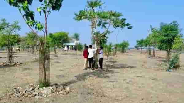 विद्यार्थ्यांचे कौतुक करावे तितके कमीच, ओसाड रान फुलवले नि गावात उत्साहाचे वातावरण