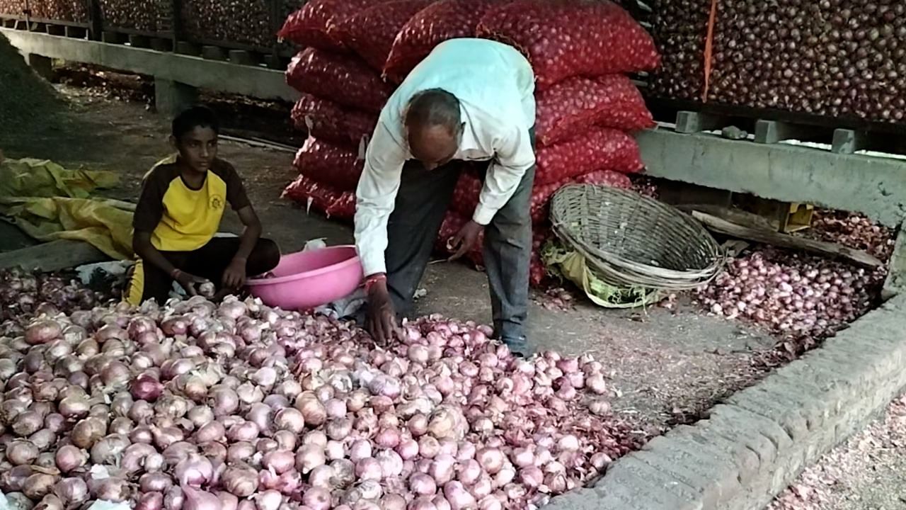 कांद्यानं रडरडवलं! आता ग्राहकांच्या डोळ्यात आणणार पाणी? भाव नसल्याने शेतकऱ्यांनी उचललं 'हे' पाऊल