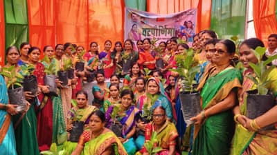 जाणले वटवृक्षांचे महत्त्व, ९ वर्षापासून वटवृक्ष वाटप उपक्रम!, पंचक्रोशीत होतेय चर्चा