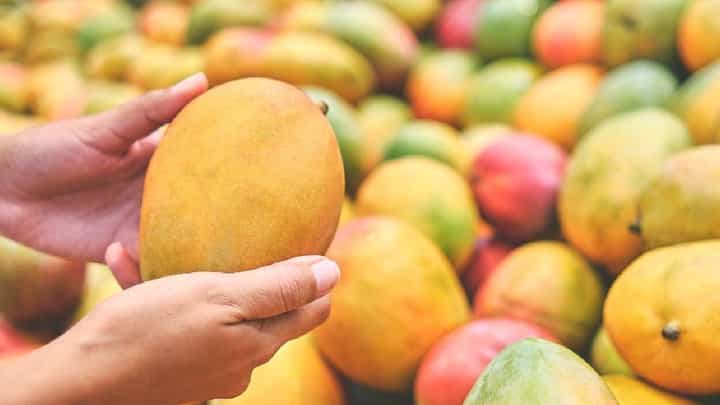 शेतकऱ्या पाठोपाठ आता बायगतदार घायकुतीला; बाजारपेठेत आंब्याची आवक वाढली मात्र दर पडला? शेतकऱ्या पाठोपाठ आता बायगतदार घायकुतीला; बाजारपेठेत आंब्याची आवक वाढली मात्र दर पडला?