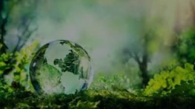 मुंबईत इतके हजार झाडं लावण्याचा संकल्प, पर्यावरण दिनी लावलेली झाडं जगवणार कोण?