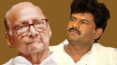 शरद पवार यांनी... गोपीचंद पडळकर यांची अरे तुरेची भाषा; पुन्हा जीभ घसरली