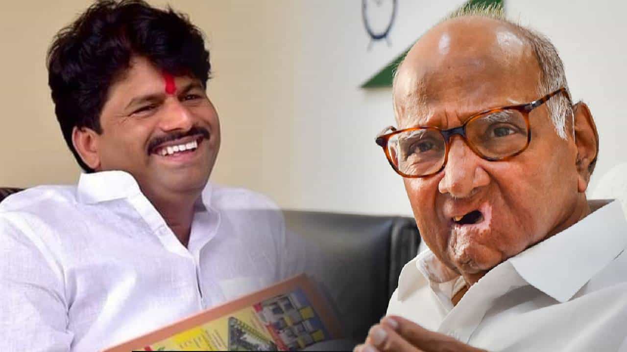 '... मस्ती आलीय', शरद पवार यांच्यावर बोलताना गोपीचंद पडळकर यांची जीभ घसरली