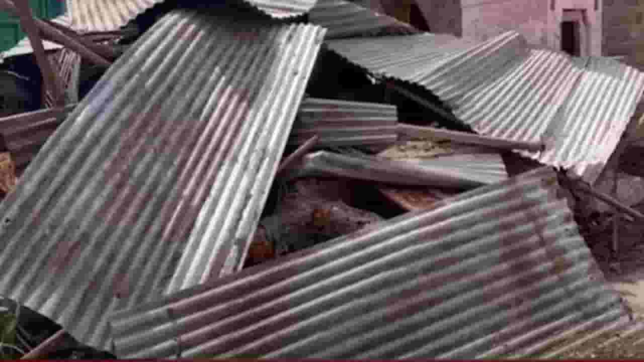 वादळी वार्‍यानं झोडपलं, झाडे उन्मळून पडल्याने पत्र्याची शेड कोसळले