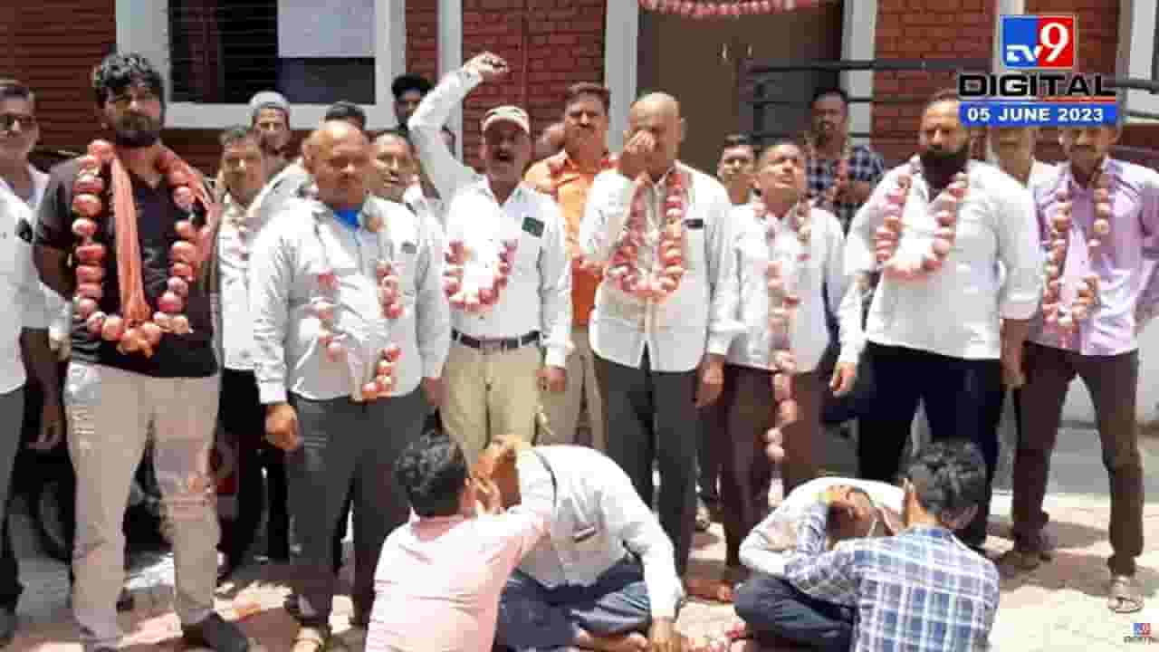 कांद्याला भाव नाही? शेतकरी आक्रमक; प्रहार शेतकरी संघटनेचं आंदोलन; गळ्यात कांद्याच्या माळा, मुंडनही केलं कांद्याला भाव नाही? शेतकरी आक्रमक; प्रहार शेतकरी संघटनेचं आंदोलन; गळ्यात कांद्याच्या माळा, मुंडनही केलं