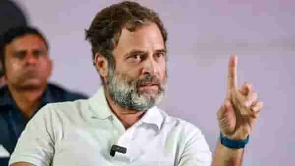 ‘तुम्हाला ‘त्या’ विषयावर पीएचडी करायची आहे का?’ संजय राऊत याचा भाजपला सवाल