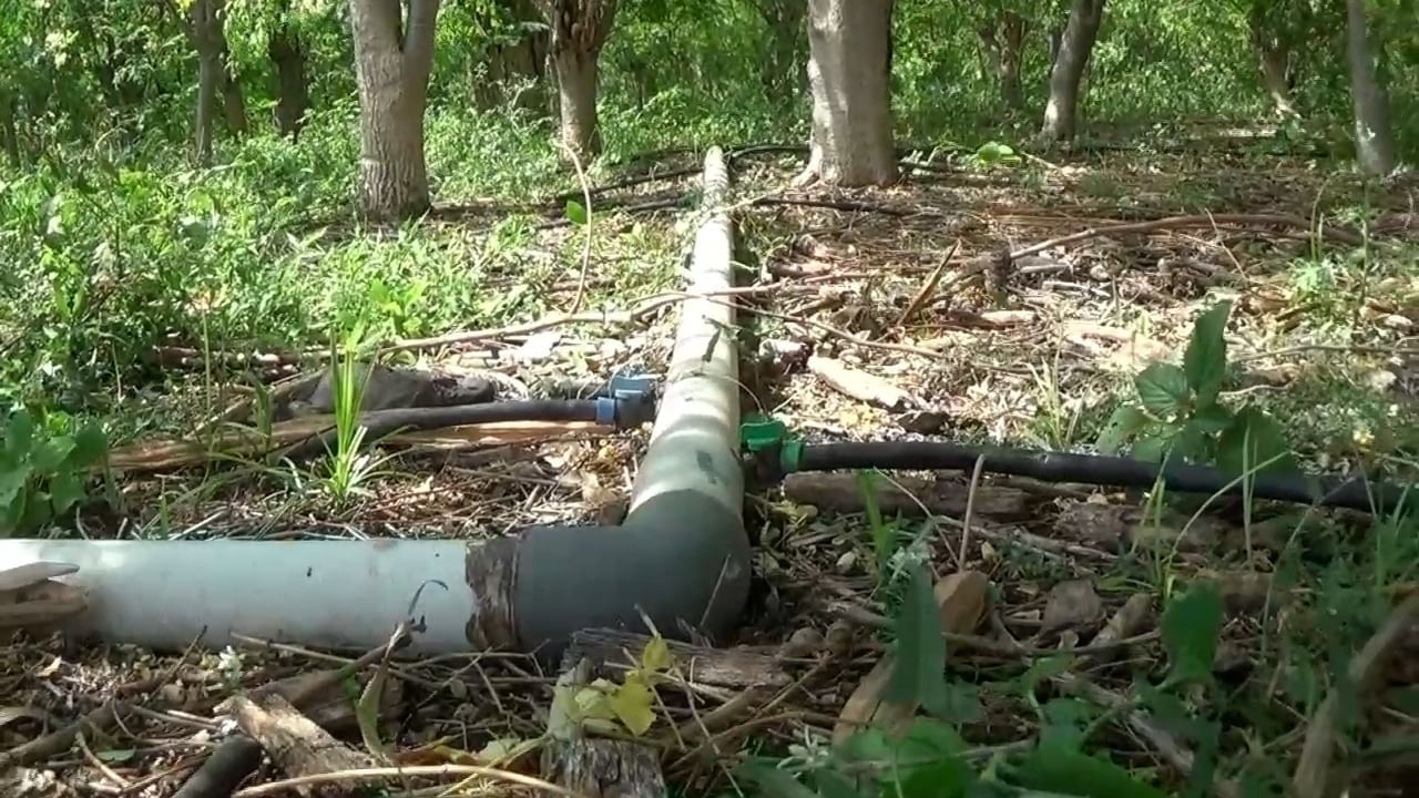 दरवर्षी या शेतकऱ्याला चाळीस ते पंचेचाळीस हजार रुपये उत्पादन खर्च येत असून त्यातून त्याला तीन ते चार लाख रुपये उत्पन्न मिळत आहे. 