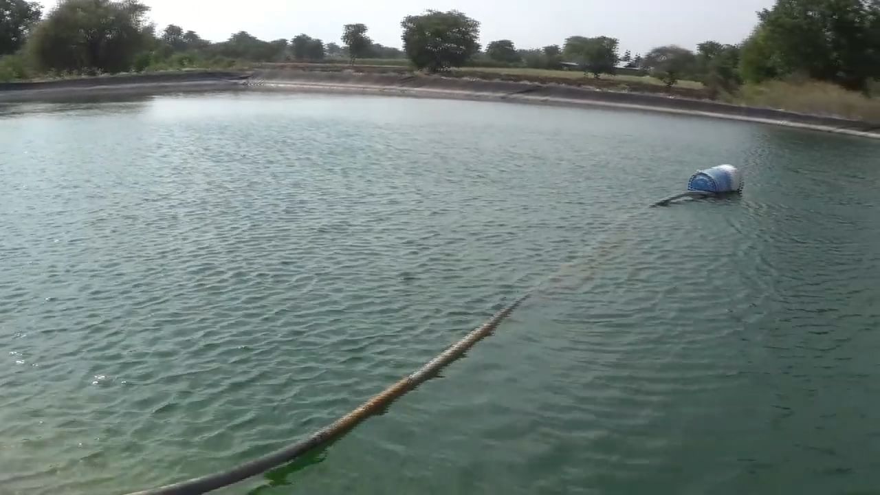 बाजारात तीस ते चाळीस रुपये भाव शेवग्याला मिळत असल्याने यावर्षी देखील भरघोस उत्पन्न या शेतकऱ्याला मिळणार असून योग्य पाण्याचे नियोजन व औषधाचा वापर न करता या शेतकऱ्याने शेवग्याची बाग फुलवली आहे.