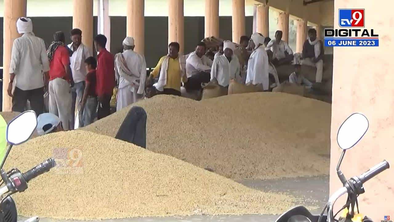 शेतकऱ्याने करायचं तरी काय? कशालाच दर नाही, आत्ता शेतकऱ्यांच्या निराशेचं कारण कोणतं पीकं? शेतकऱ्याने करायचं तरी काय? कशालाच दर नाही, आत्ता शेतकऱ्यांच्या निराशेचं कारण कोणतं पीकं?