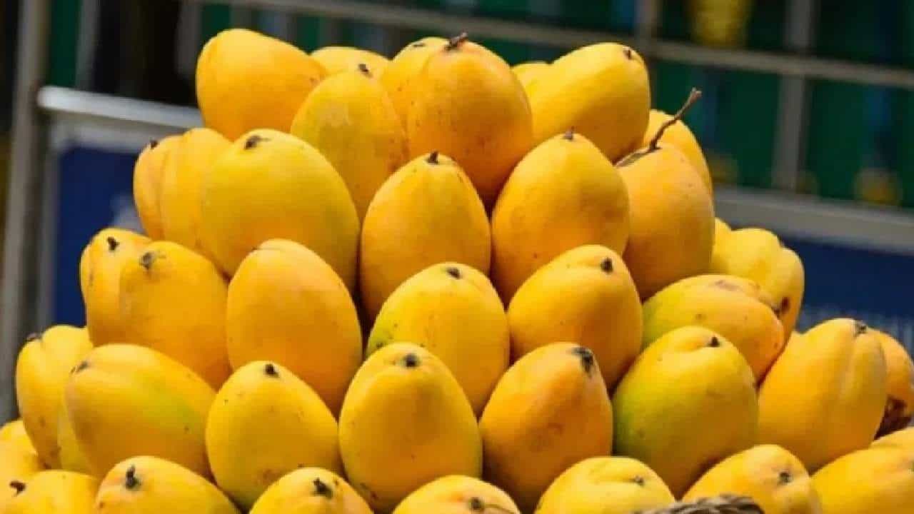 आता बाजारात आले शुगर फ्री आंबे, मधुमेहाच्या रुग्णांसाठी खास आंबे !