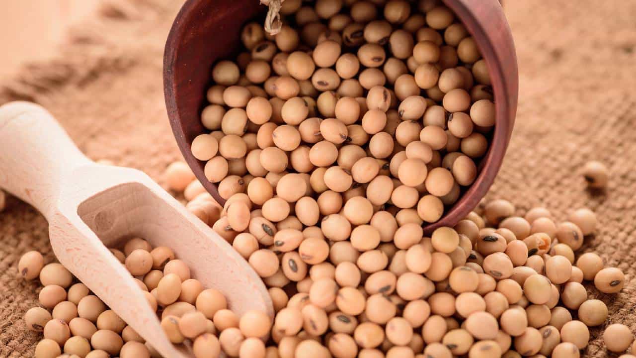 सोयाबीन अद्यापही शेतकऱ्यांच्या घरातच पडून, शेतकऱ्यांना वाढीव दराची अपेक्षा