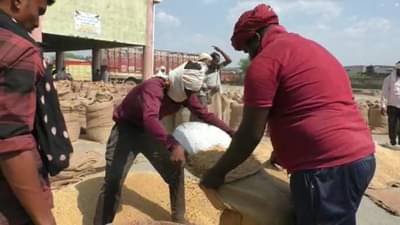 शेतकऱ्यांसाठी खुशखबर, सोयाबीनच्या हमीभावात मोठी वाढ, केंद्र सरकारकडून खरीप हमीभाव जाहीर