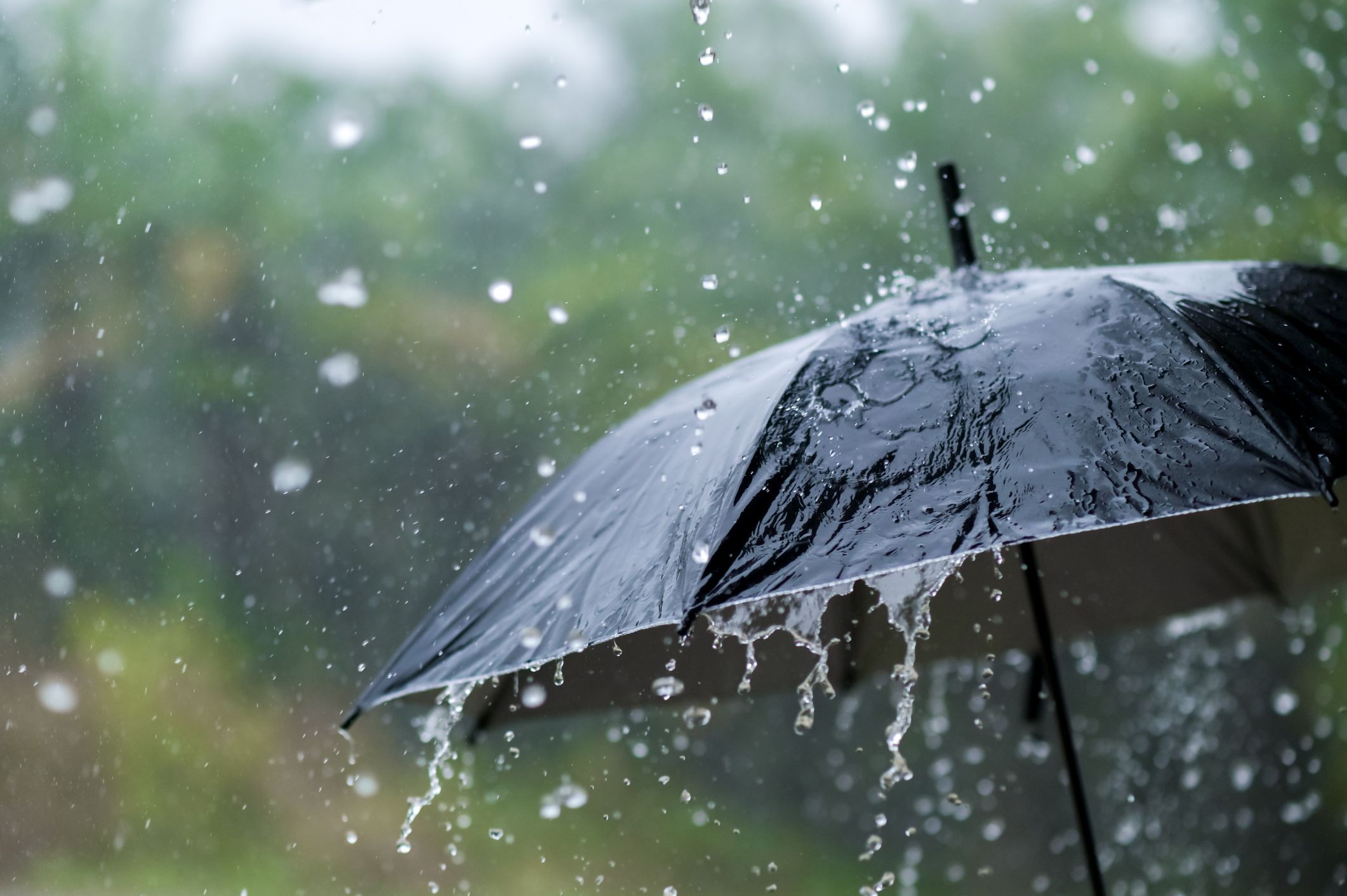 Monsoon Update : अखेर मान्सून आला, केरळमध्ये दाखल, राज्यात कधीपासून बरसणार