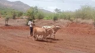 शेतकऱ्यांसाठी खुशखबर, सोयाबीनच्या हमीभावात मोठी वाढ, केंद्र सरकारकडून खरीप हमीभाव जाहीर