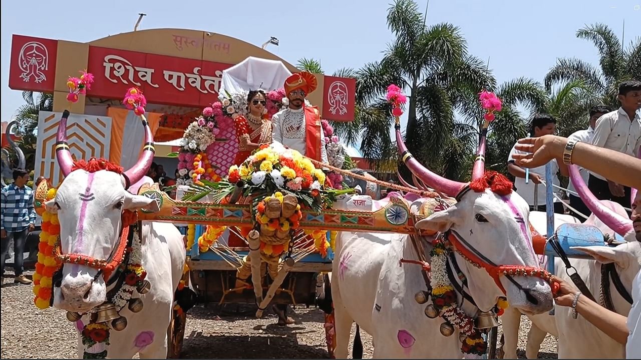 ग्रामीण भागात बैलगाडीचा ट्रेंड वाढला, लग्नाला वऱ्हाड हॉलवरती बैलगाडीनं पोहोचलं