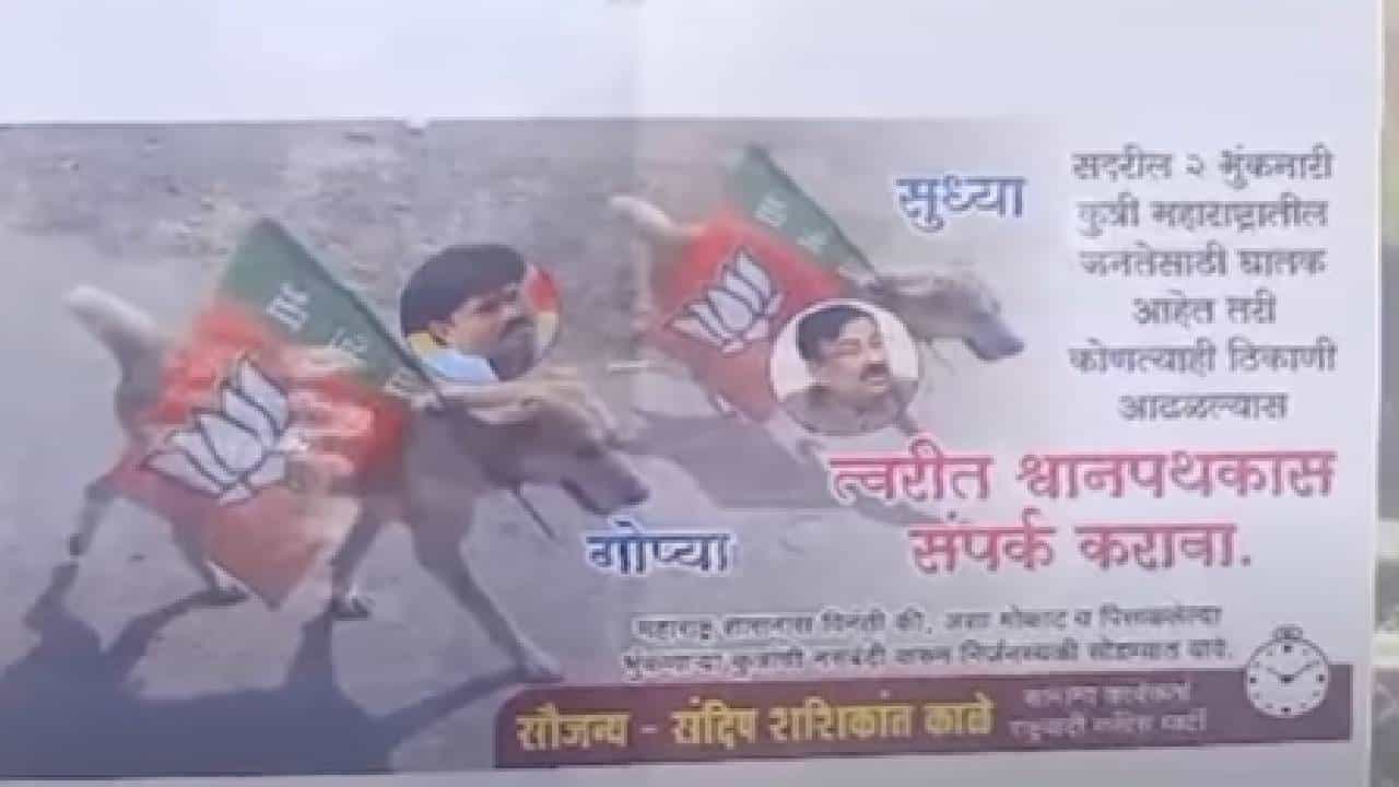 पुण्यात राष्ट्रवादीचे अनोखे आंदोलन, श्वानाच्या तोंडावर भाजप नेत्यांचे फोटो लावत केले आंदोलन!