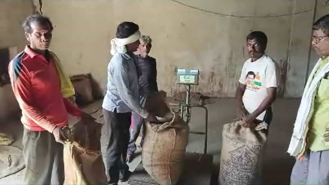 34 केंद्रांपैकी 28 केंद्रावरून धान्य खरेदी सुरु, शेतकऱ्यांमध्ये आनंदाचे वातावरण