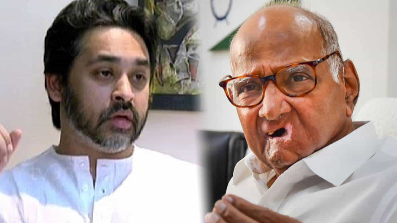 पवार यांच्यावर केलेल्या ‘त्या वक्तव्यावरून’ निलेश राणे यांच्यावर कोणाची टीका? म्हणाला, ‘कहाँ राजा भोज, कहाँ’