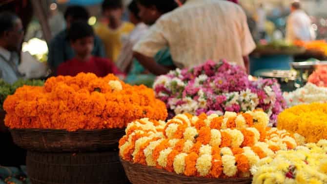 प्रत्येक देवी देवतांना आवडते विशेष फुल, पुजेत अशा प्रकारे करा फुलांचा समावेश