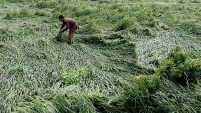 वादळी वाऱ्यामुळे झालेल्या नुकसानाचे तात्काळ पंचनामे करा; या मंत्र्याने दिले जिल्हाधिकाऱ्यांना आदेश