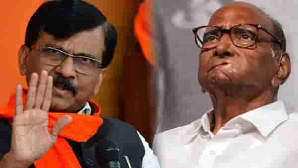 ‘शरद पवार यांनी भाकरी फिरवली नाही तर…’, ‘समाना’तून नेमका काय साधला निशाणा?