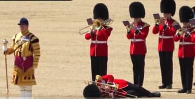 video viral : लंडनच्या रॉयल गार्डना काय झाले, अचानक का चक्कर येऊन पडले, पाहा