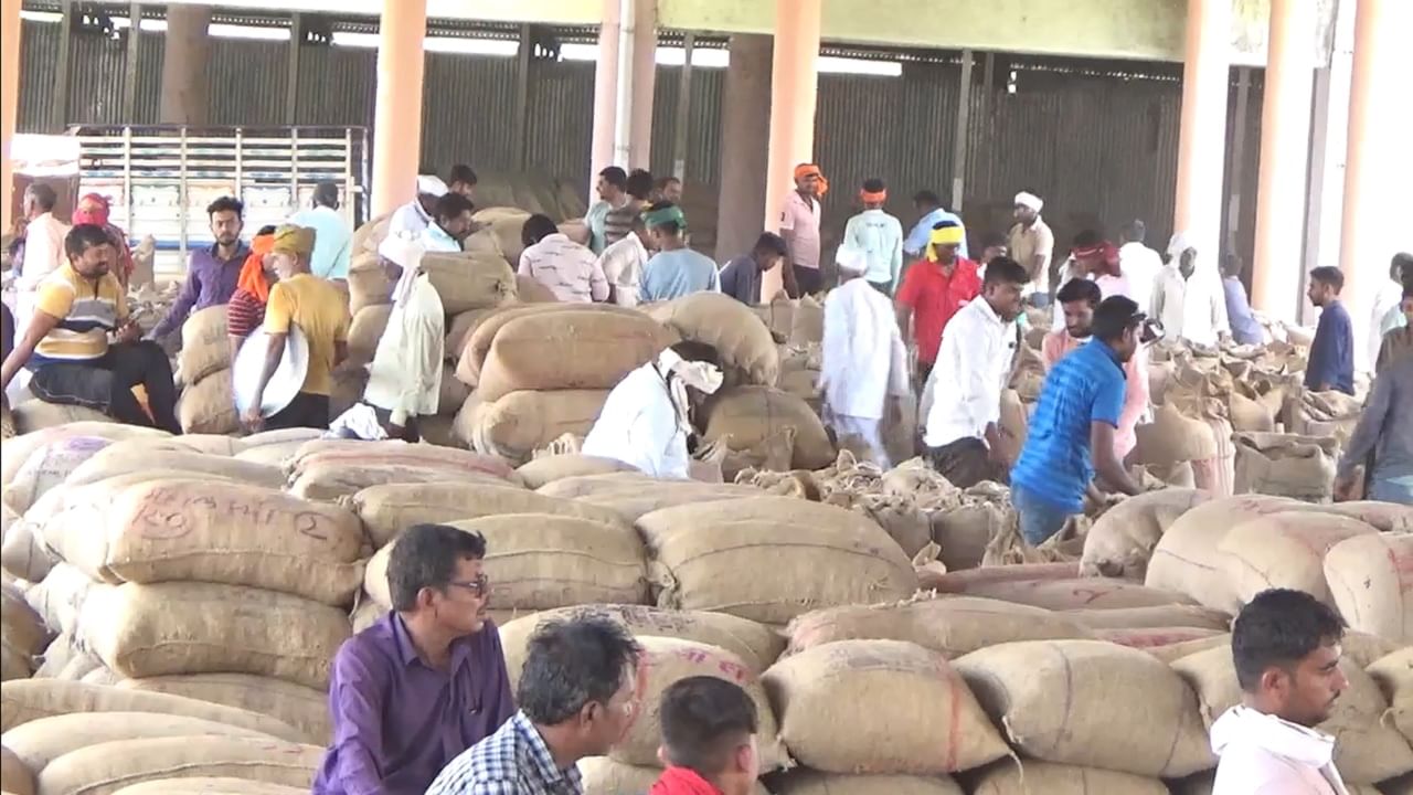 या कारणामुळे पावसाळ्याच्या तोंडावर सोयाबिनची आवक वाढली, आठवड्याच्या पहिल्याचं दिवशी...