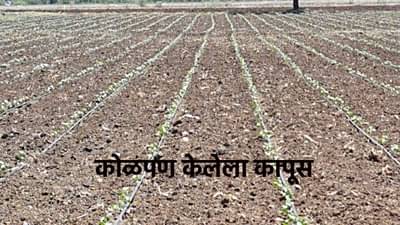 जून महिन्यात सुध्दा कडक उन्हं, पेरण्या लांबल्या, शेतकरी पावसाच्या प्रतिक्षेत