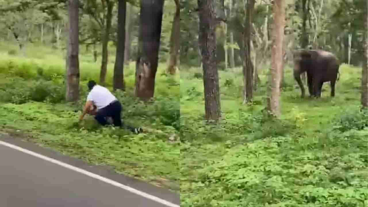 VIDEO | चुकून व्यक्ती हत्तीच्या परिसरात पोहोचला, संतापलेला हत्ती पाठी लागला, व्हिडिओ पाहणाऱ्यांना घाम फुटला