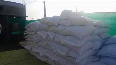 296 पोते बियाणे बोगस बियाणे पोलिसांनी पकडले, पंधरा आरोपींवर गुन्हा दाखल, आठ आरोपी ताब्यात