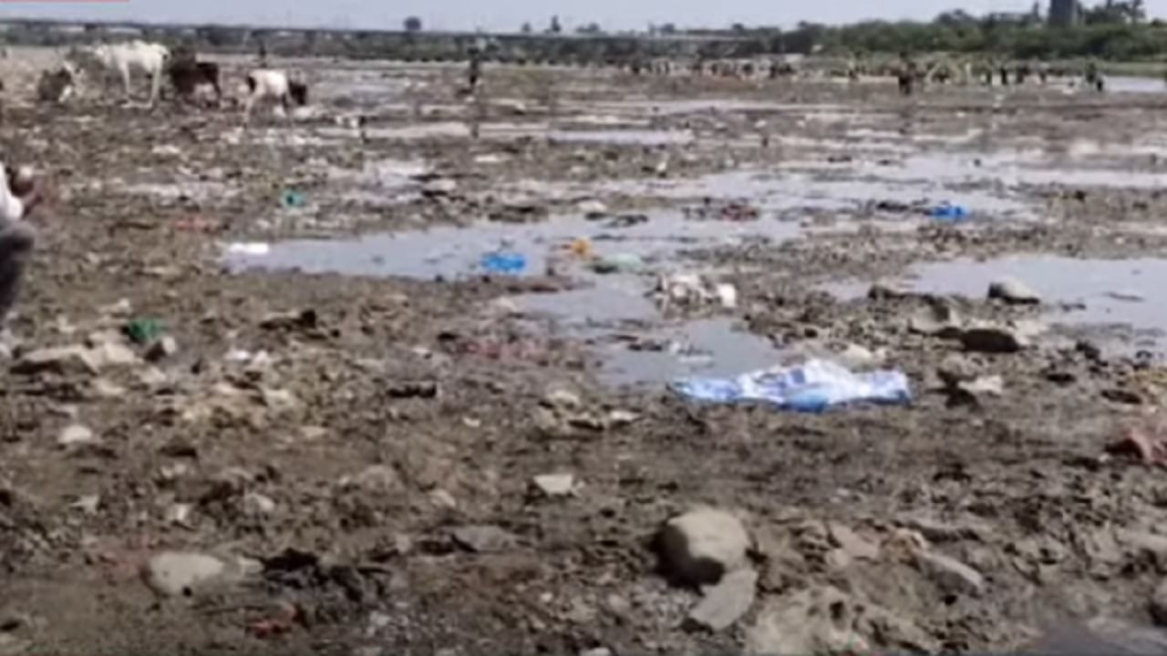 चंद्रभागा नदीपात्रात घाणीचं साम्राज्य; चंद्रभागेच्या दूषित पाण्यामुळे दुर्गंधी अन् भाविकांचं आरोग्य धोक्यात