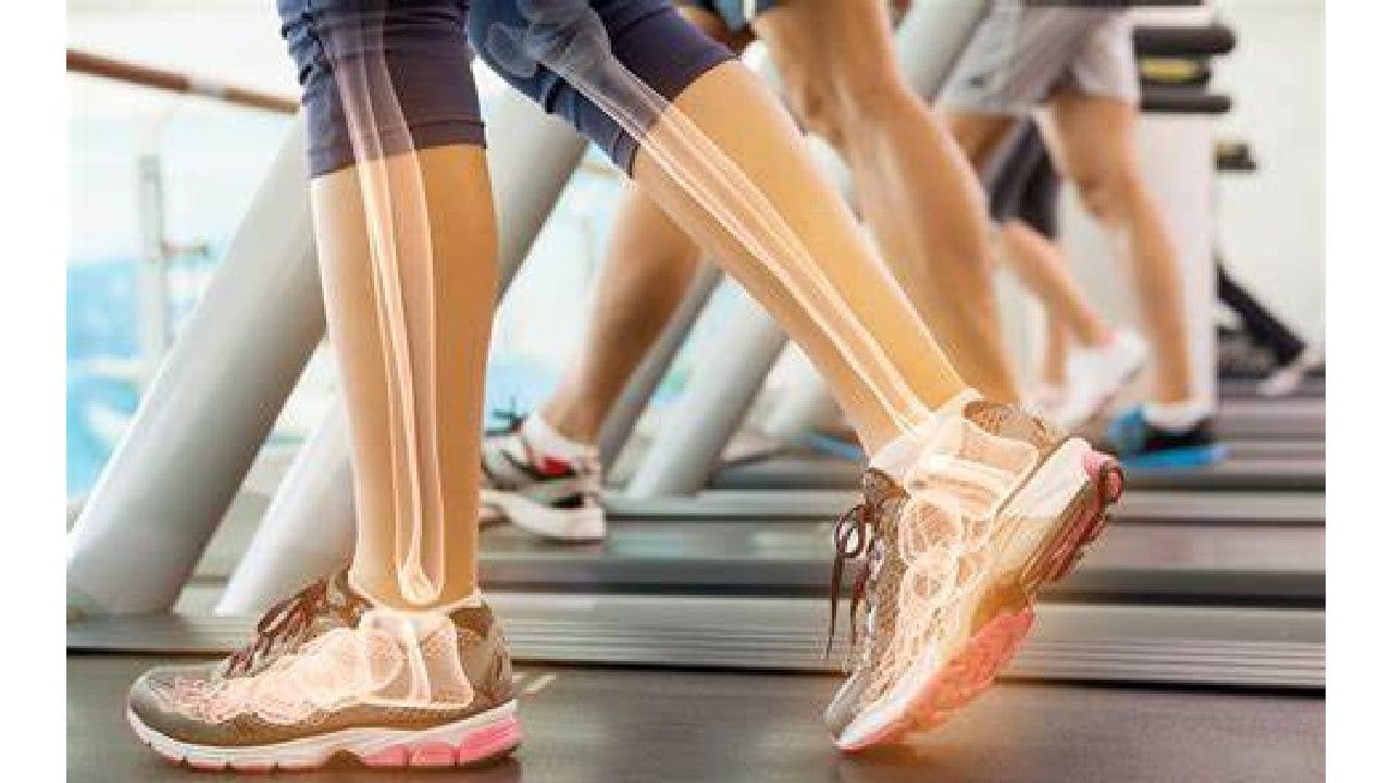 या गोष्टी खाल्ल्याने हाडे होतील मजबूत, चाळीशीनंतरही राहाल मजबूत! या गोष्टी खाल्ल्याने हाडे होतील मजबूत, चाळीशीनंतरही राहाल मजबूत!