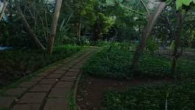 53 एकरात पसरलेल्या या उद्यानात विविध सुविधा, रोज हजारो पर्यटकांना होणार लाभ