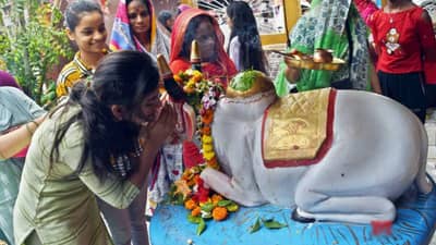 नंदीच्या पुजेला आहे विशेष महत्त्व, नंदीच्या कोणत्या कानात करावी प्रार्थना?