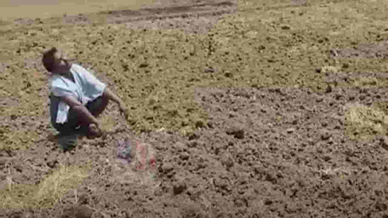 वरुण राजा कधी होणार प्रसन्न? 'या' राज्यात बळीराजा पावसाच्या आगमनाच्या प्रतीक्षेत वरुण राजा कधी होणार प्रसन्न? 'या' राज्यात बळीराजा पावसाच्या आगमनाच्या प्रतीक्षेत