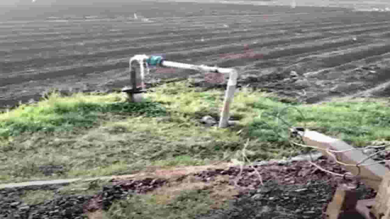 शेतातील पीक वाचवण्यासाठी शेतकऱ्याची धडपड, लढवली अनोखी शक्कल