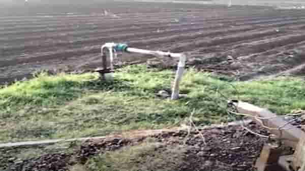 शेतातील पीक वाचवण्यासाठी शेतकऱ्याची धडपड, लढवली अनोखी शक्कल